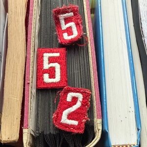 Boy Scouts Troop Red Number Patches